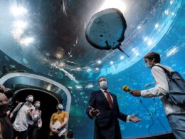 Foto de El gran acuario Poema del Mar reabre sus puertas al público