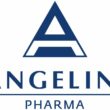 Foto de Logo Angelini Pharma