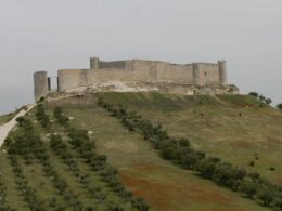 Foto de Ruta de los Palacios y Castillos en el Valle Del Henares