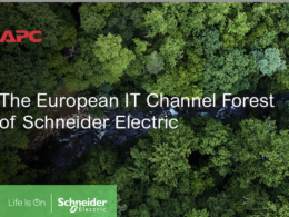 Foto de Schneider Electric y los proveedores de IT plantan miles de