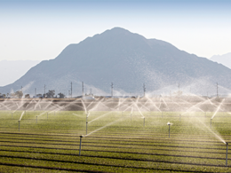 Foto de El proyecto pretende mejorar la eficiencia del uso del agua